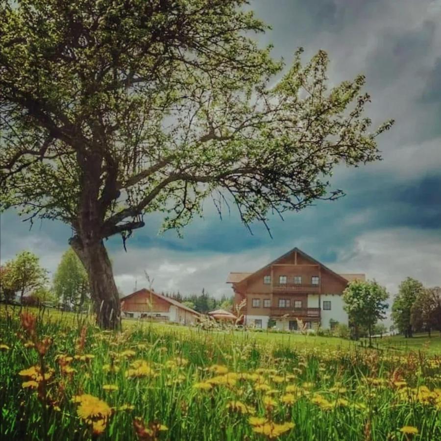 Biobauernhof Brandlhof Apartman Ramsau am Dachstein Kültér fotó