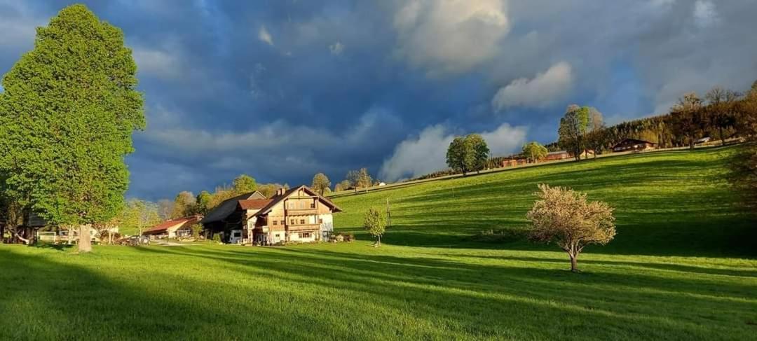 Biobauernhof Brandlhof Apartman Ramsau am Dachstein Kültér fotó