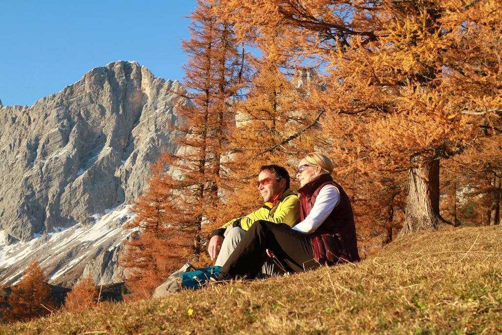 Biobauernhof Brandlhof Apartman Ramsau am Dachstein Kültér fotó